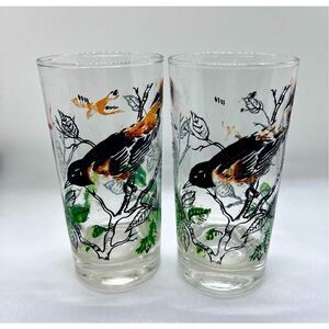 2 Vintage Federal Glass Oriole Birds Audobon Glassware-See Details